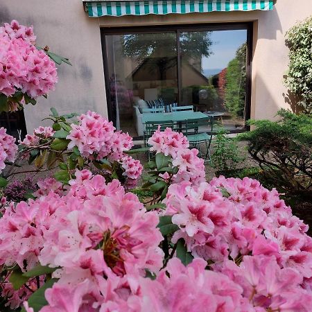 로데즈 Le Denyspuech 55M2 Plein Centre Avec Jardin! 아파트 외부 사진