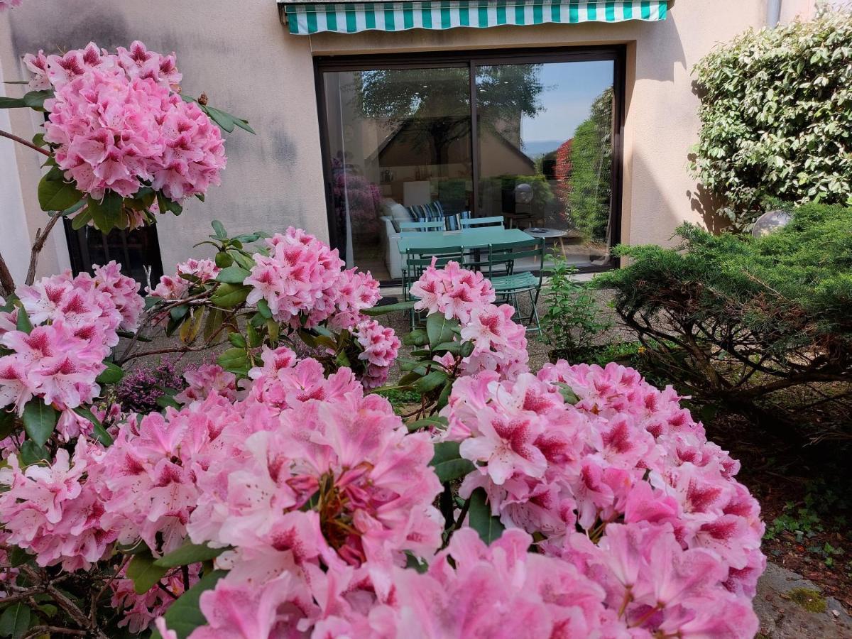 로데즈 Le Denyspuech 55M2 Plein Centre Avec Jardin! 아파트 외부 사진