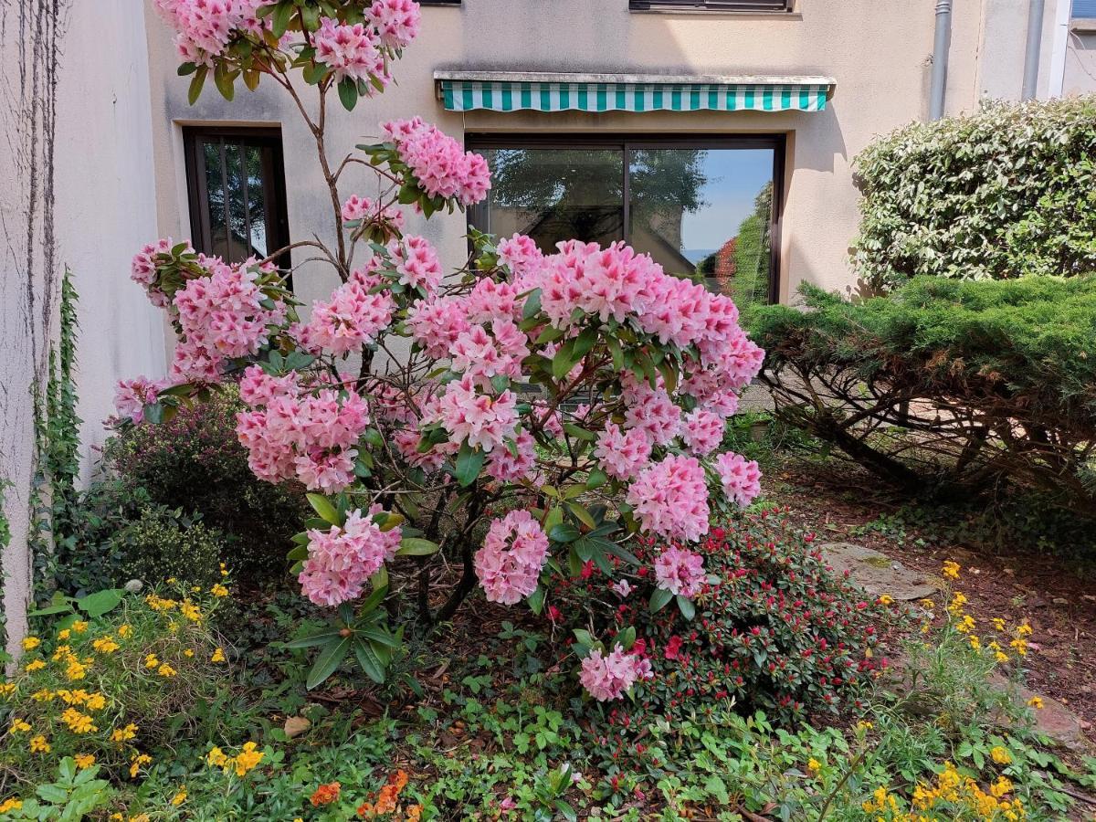 로데즈 Le Denyspuech 55M2 Plein Centre Avec Jardin! 아파트 외부 사진